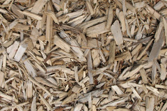 biomass boilers Tanyfron